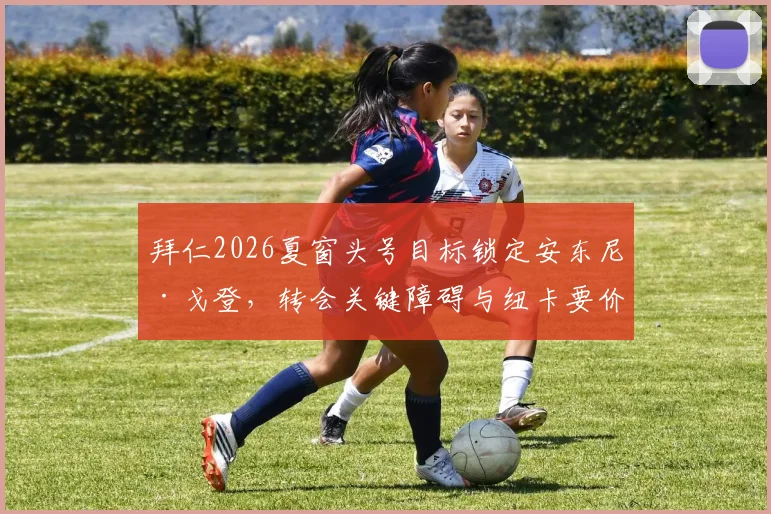 拜仁2026夏窗头号目标锁定安东尼·戈登,转会关键障碍与纽卡要价深度分析